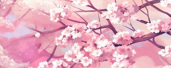 1210x300 сакура