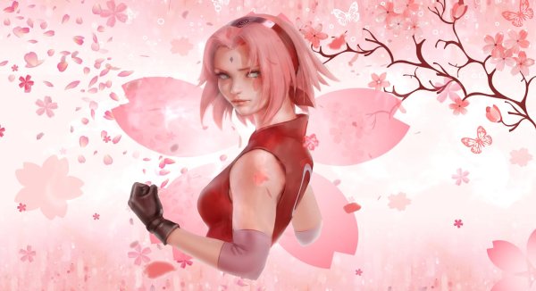 взрослая сакура