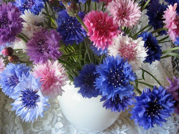 букет из васильков