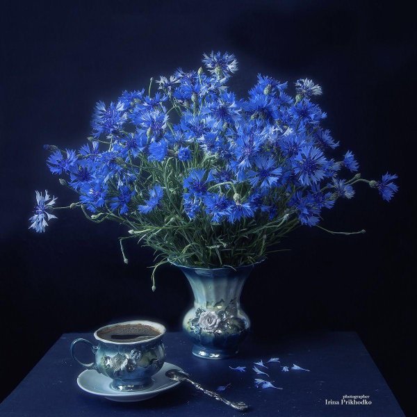 васильковое утро