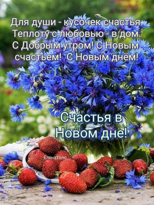 доброе утро с васильками