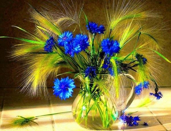 натюрморт с васильками