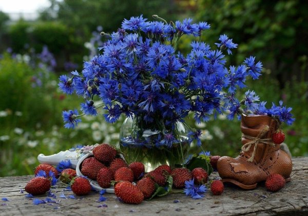 доброе утро с ромашками и васильками