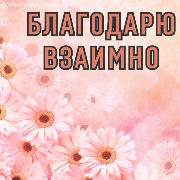 цветочные фоны