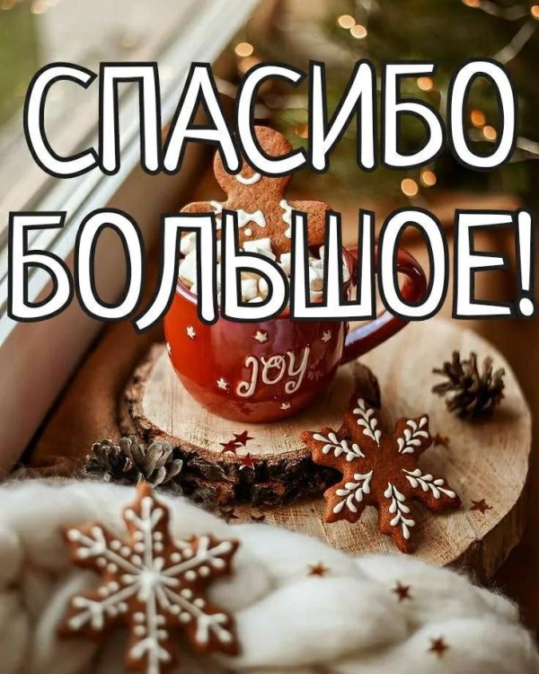 спасибо новогоднее