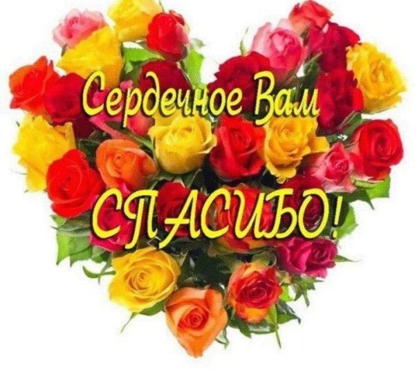 благодарю от всего сердца