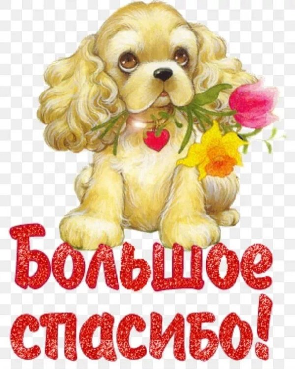 для самой красивой хозяйки этой страницы