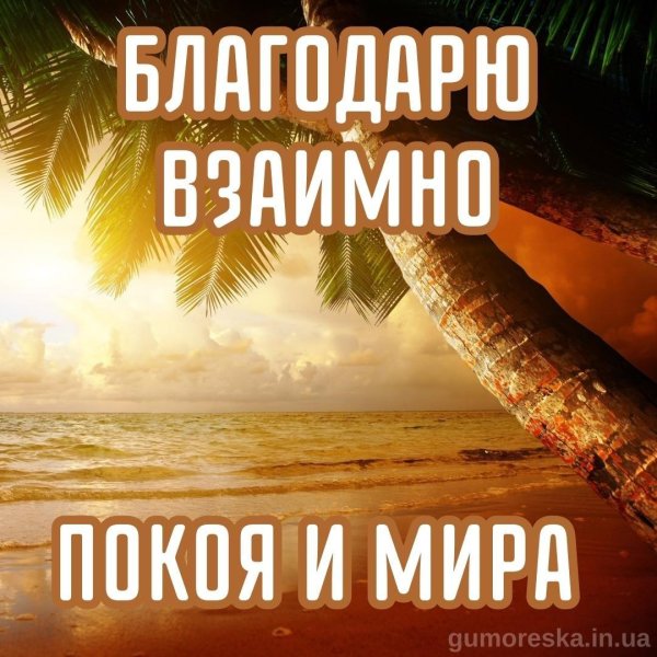 взаимно спасибо