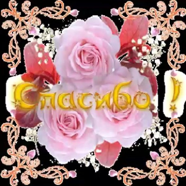 спасибо верочка