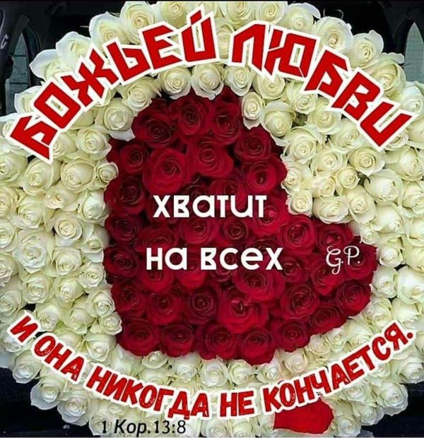 букет роз сердце