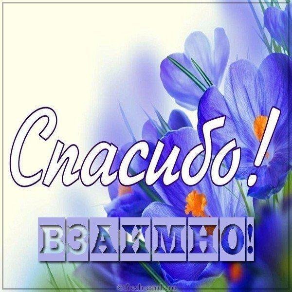 открытка с благодарностью