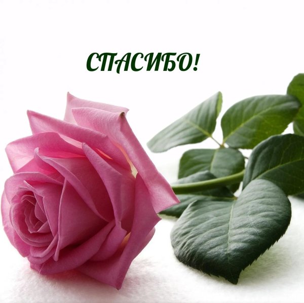 спасибо взаимно