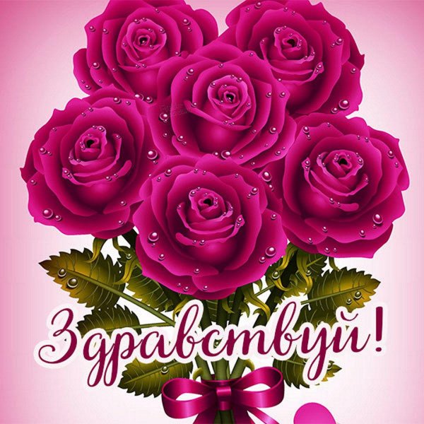 красивая цветок