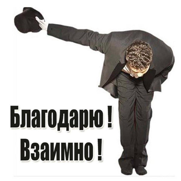 поклон благодарности