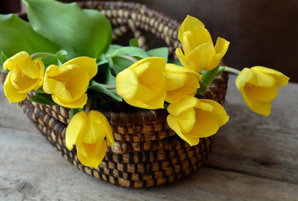 корзина с желтыми тюльпанами