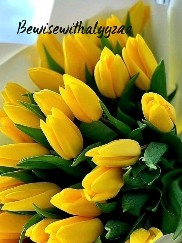 букет тюльпанов