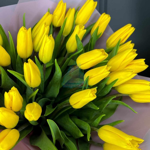 букет тюльпан