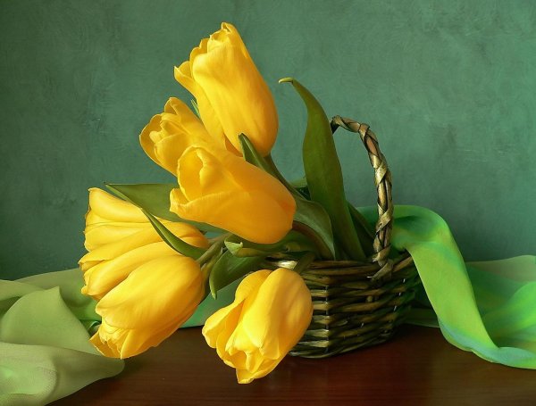 натюрморт с тюльпанами