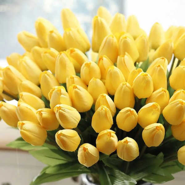 цветок тюльпан