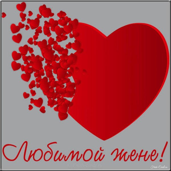 любимая жена