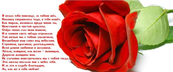 красивые стихи девушке