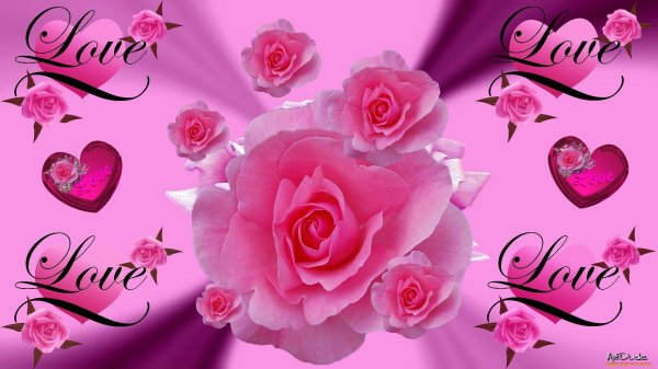 цветок для любимой