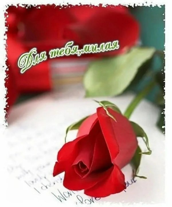 цветы с комплиментами для девушки