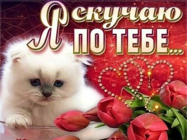скучала по тебе