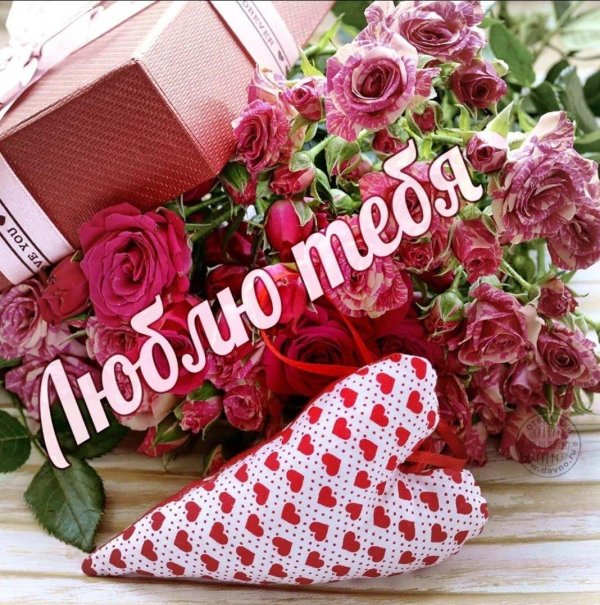 розовые розы и подарок