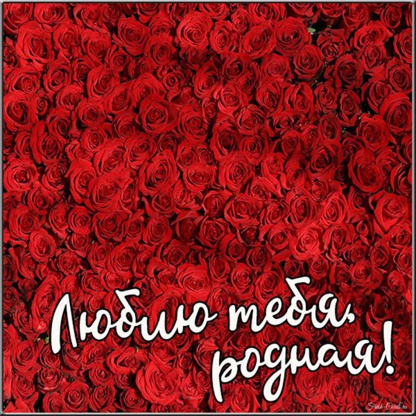 любимой жене