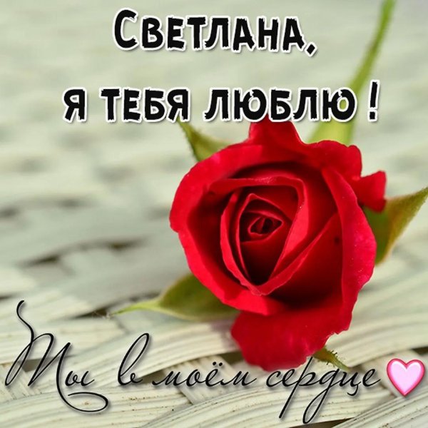 света я тебя люблю