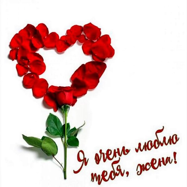 цветок сердце