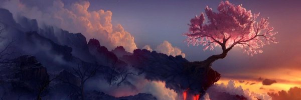 сакура дерево