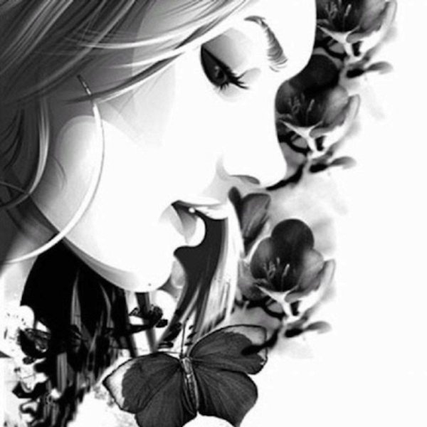 бабочки чёрно белые