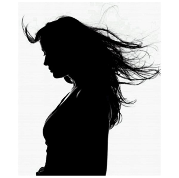 женские силуэты