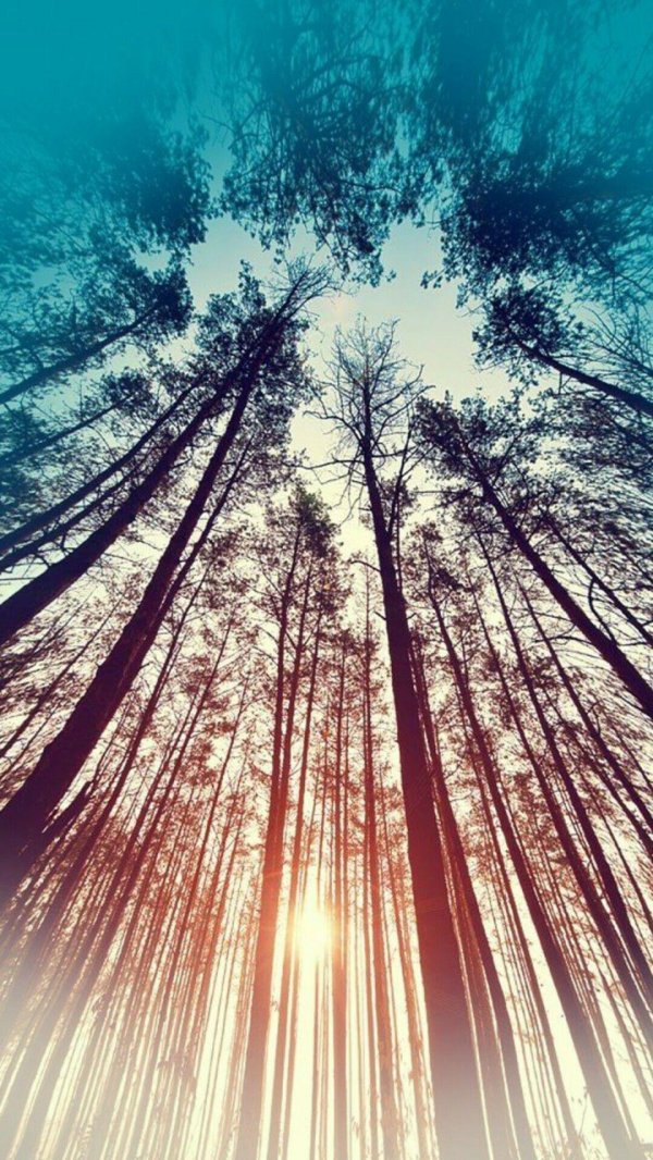 пейзажи природа