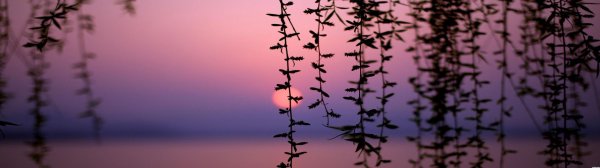 эстетика природа