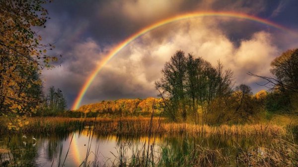 пейзаж с радугой