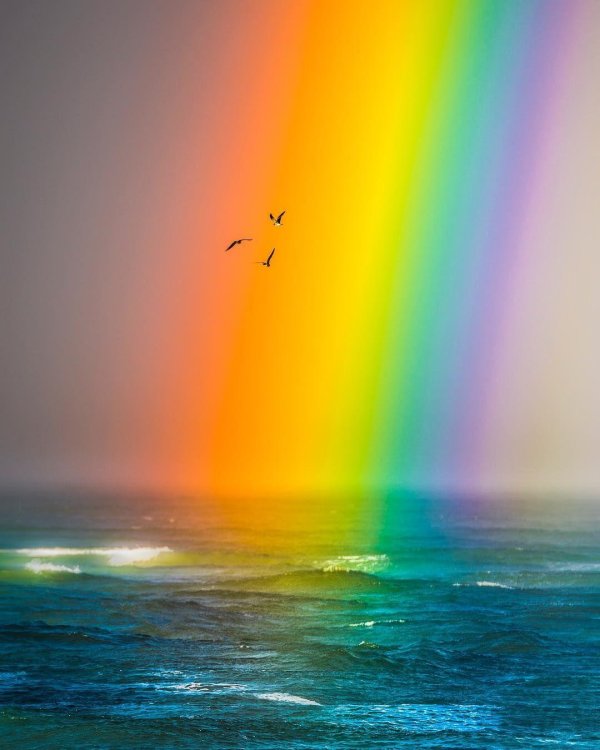 радуга над морем