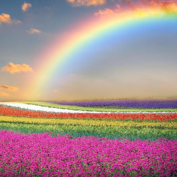 пейзаж с радугой