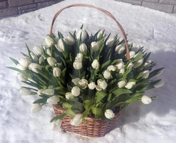 корзинка с тюльпанами