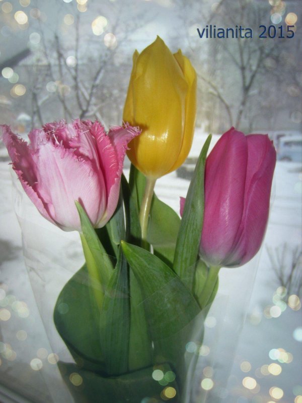 букет весенний