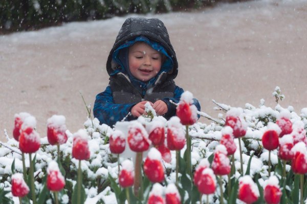 весенний снег