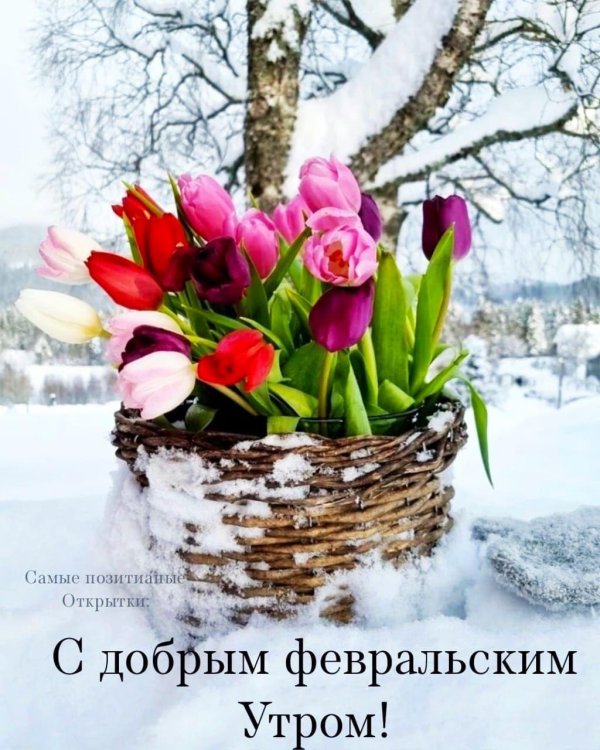 открытка с добрым февральским днем