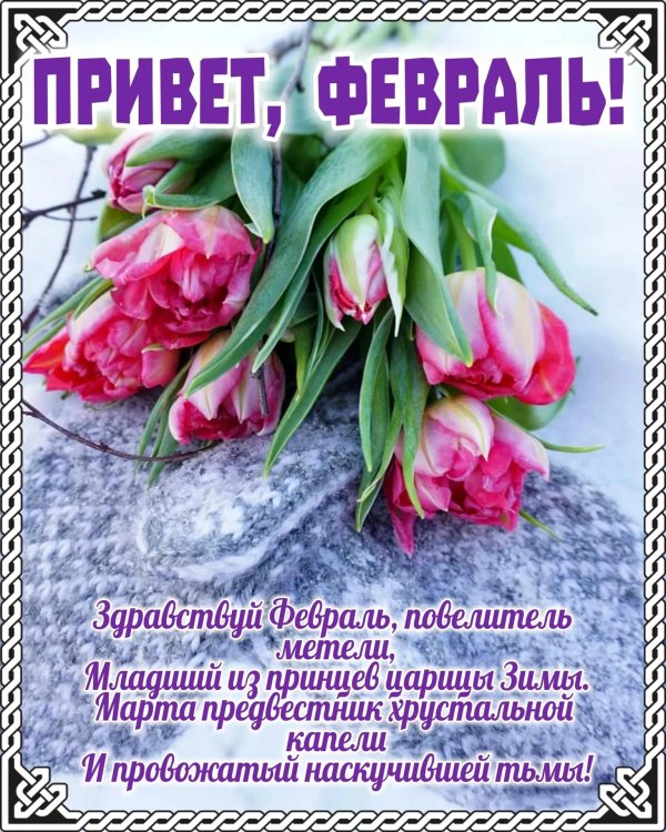 февральский приветик