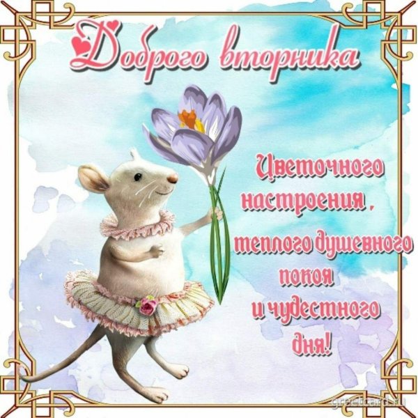 с добрым вторником