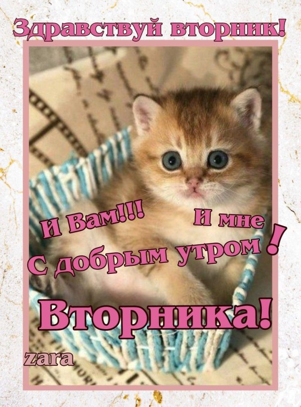 доброго утра вторник