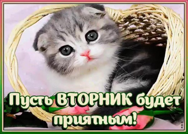 поздравление со вторником