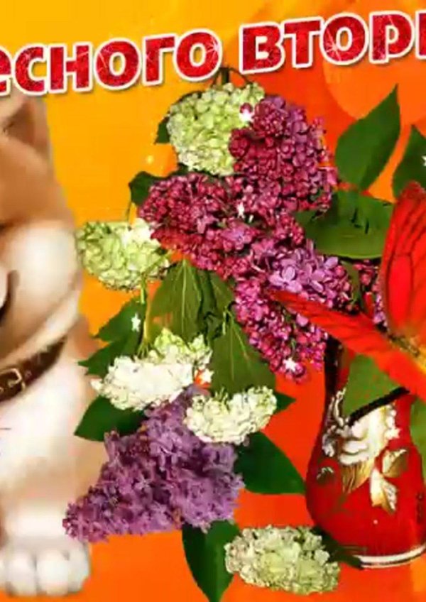 чудесного вторника