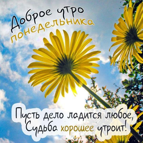 доброе утро четверга с пожеланиями